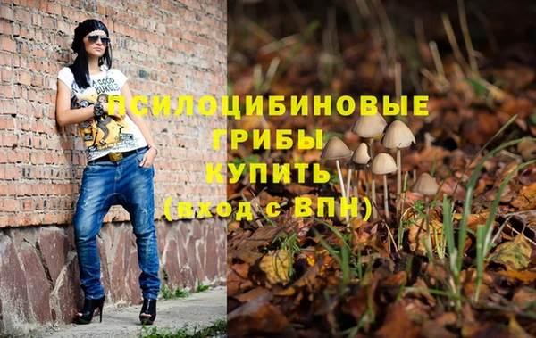 эйфоретик Абинск